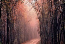 南沙夜生活新地标——同志桑拿