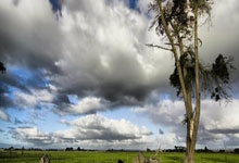 休闲养生两不误,广州按摩游戏夜场攻略