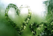 广州按摩酒店,休闲养生两不误